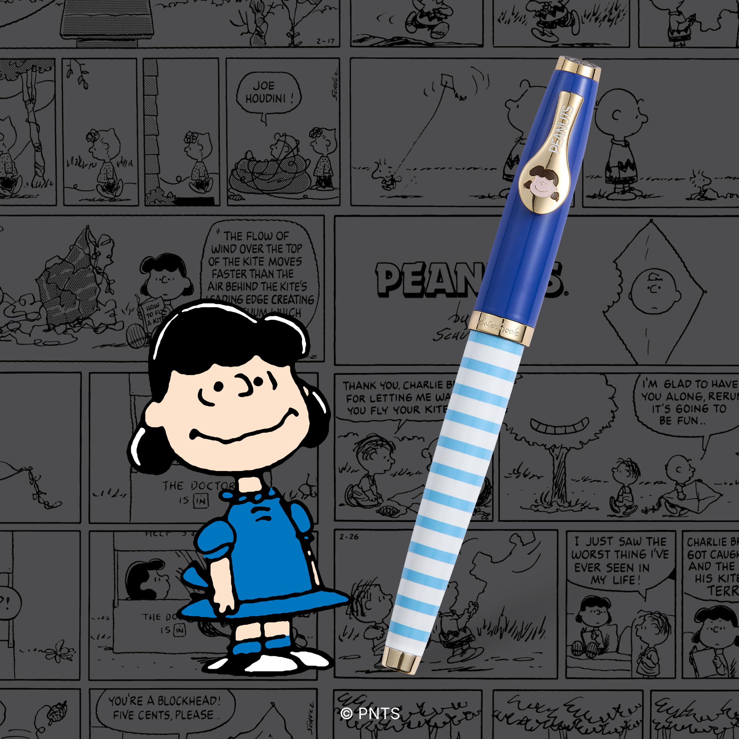 Lucy Image and Text 1 (Gray BG)