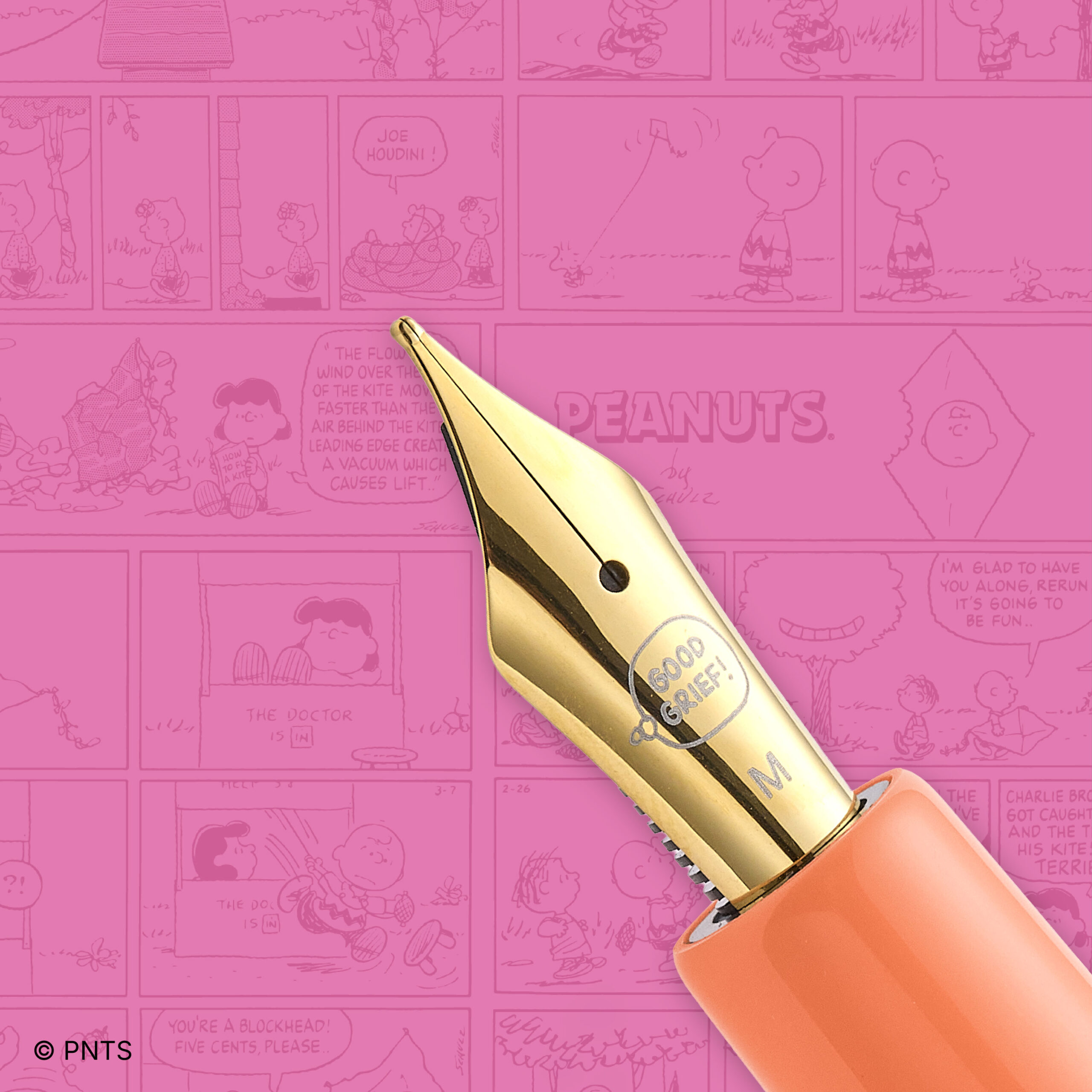 Sally Fountain Nib
