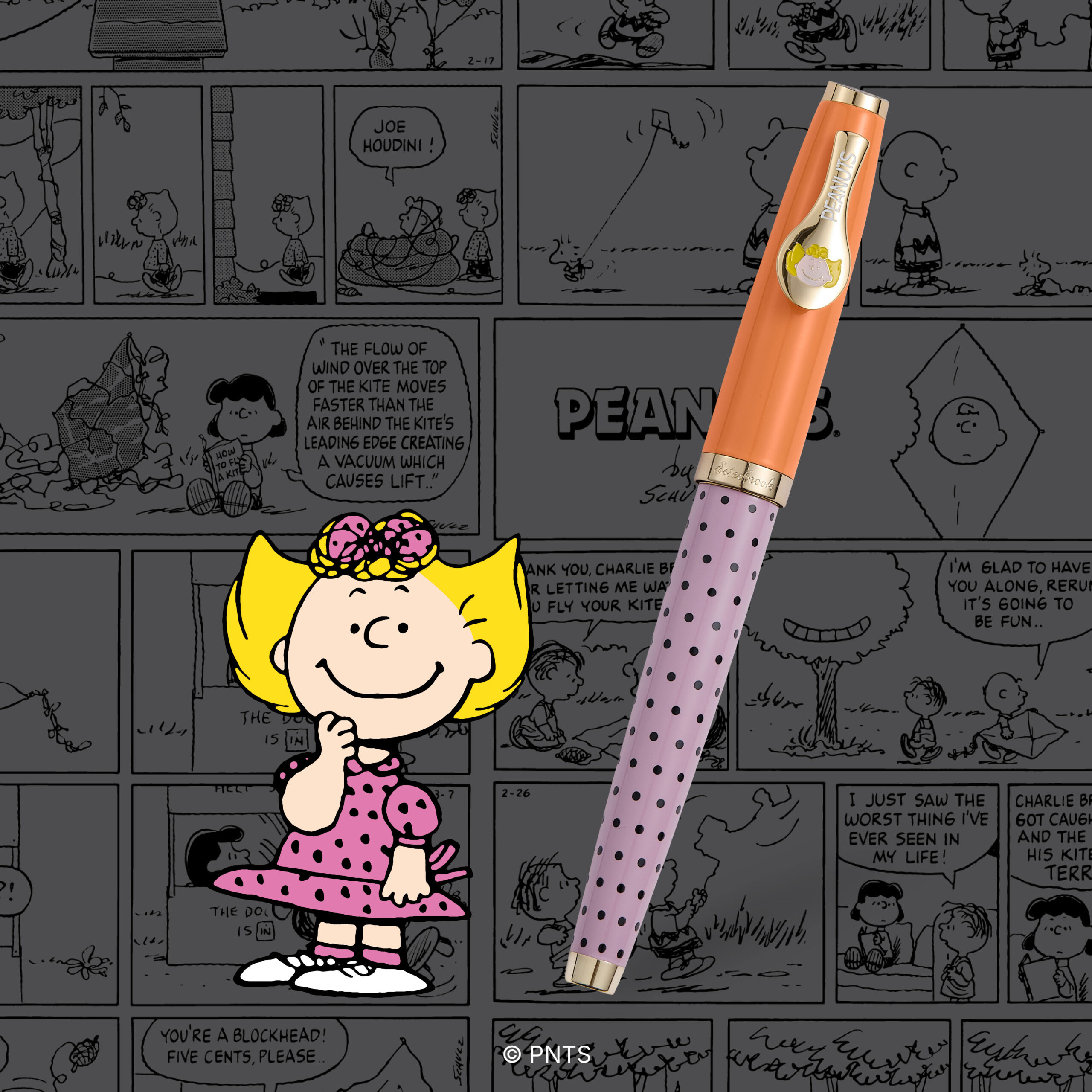 Sally Image and Text 1 (Gray BG)