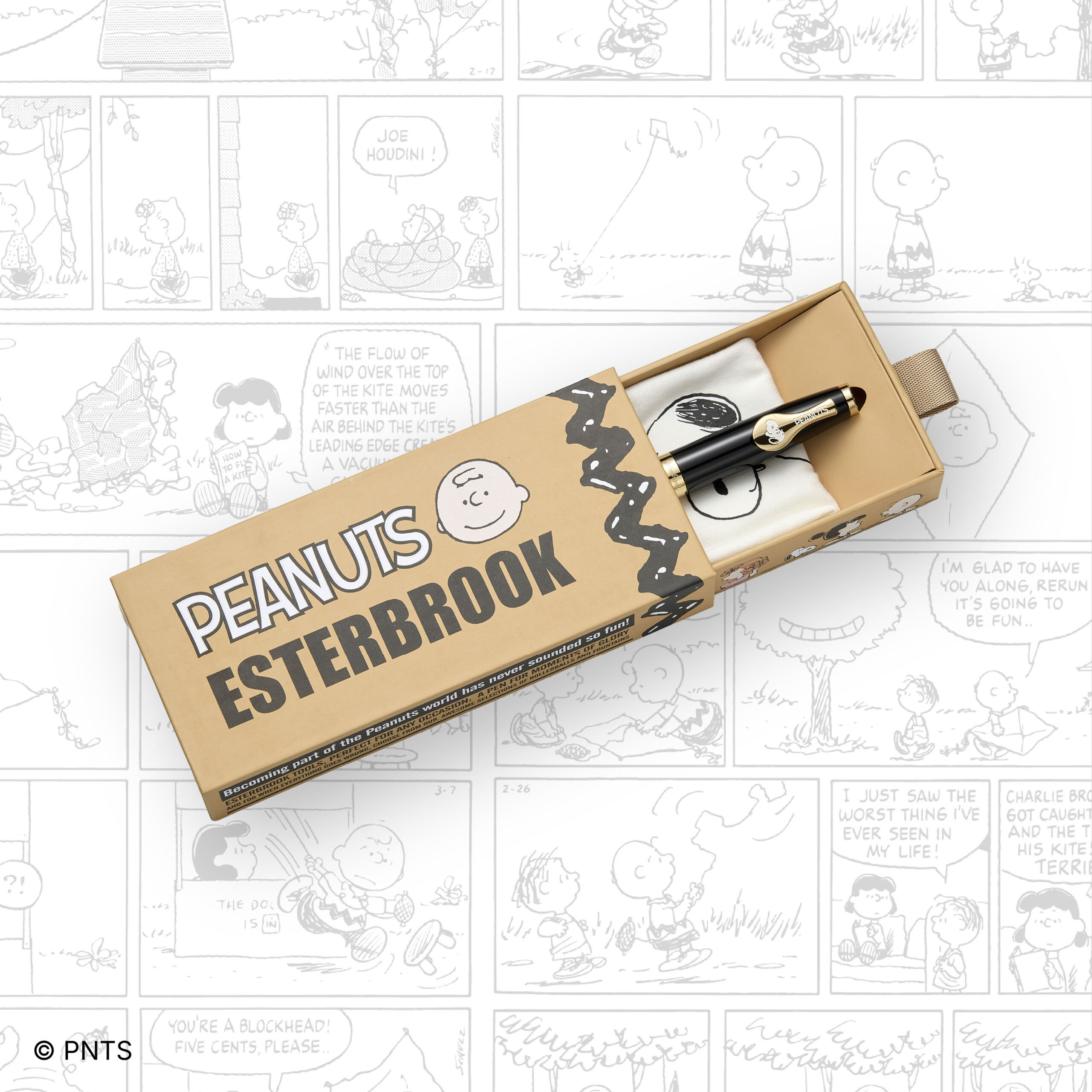 Snoopy Box 2 (Comic BG) - Copy