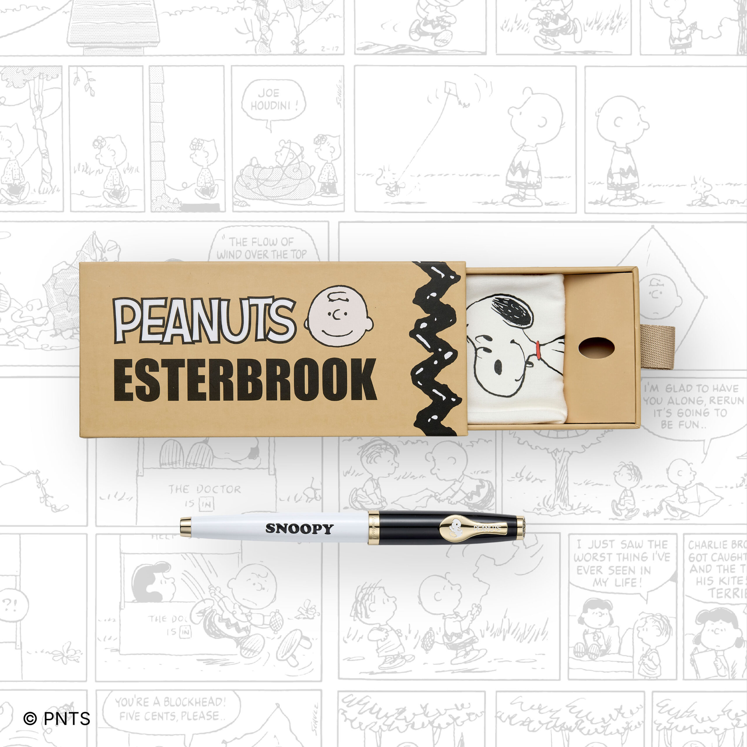 Snoopy Box 3 (Comic BG)