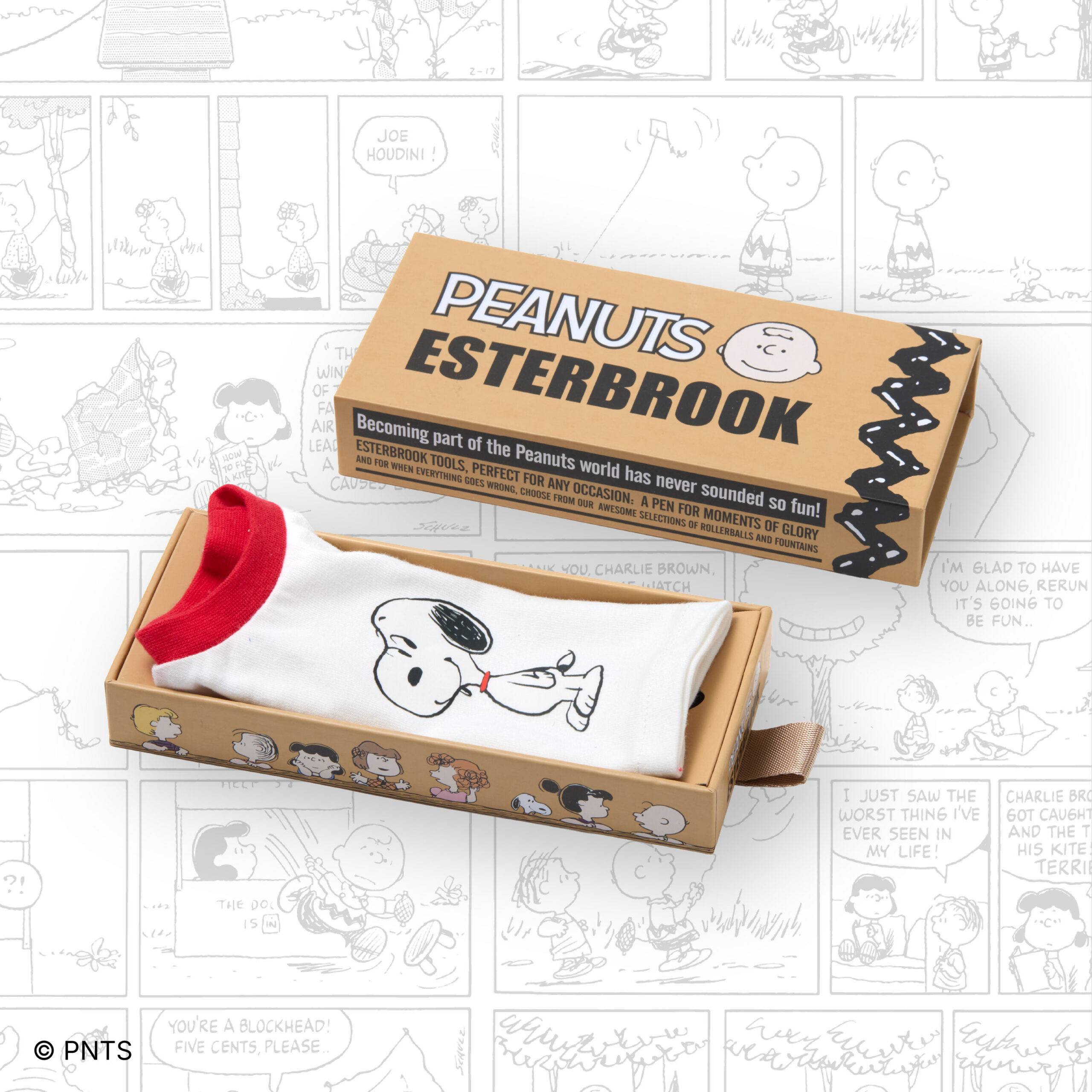 Snoopy Box