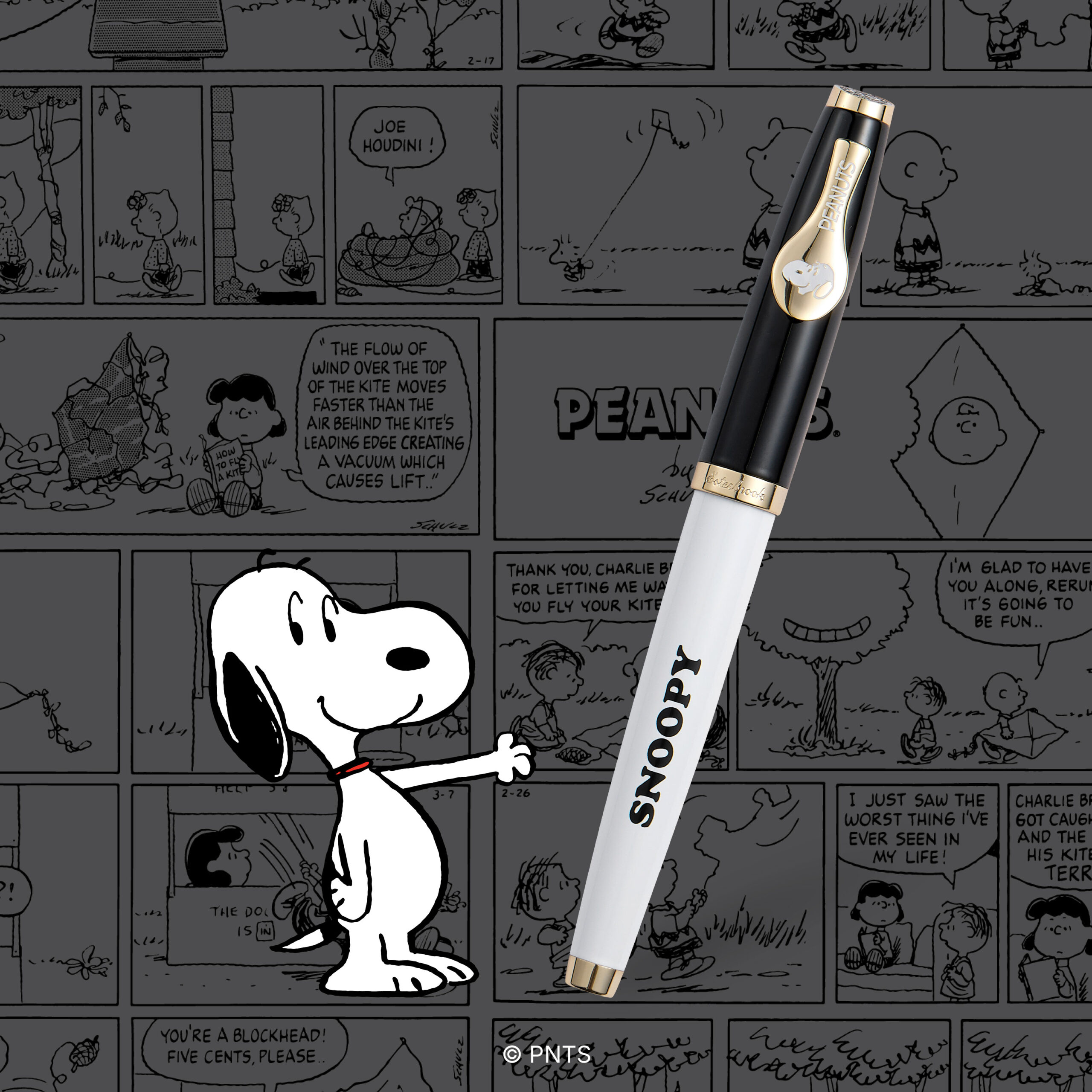 Snoopy Image and Text 1 (Gray BG)