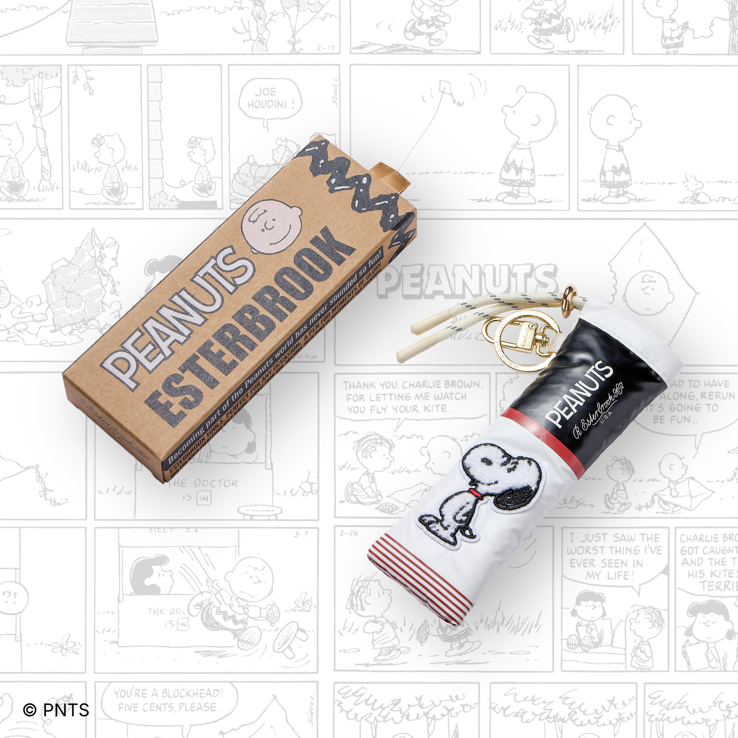 Snoopy Pen Case and Box